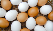 Trứng gà vỏ màu trắng hay màu nâu tốt hơn?