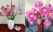 Nhà giàu hay bày 6 loại hoa này trong phòng khách để hút tài lộc, muốn may mắn hãy làm đúng như vậy