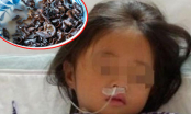 Bé gái 7 tuổi bị suy đa tạng vì sai lầm của mẹ khi chế biến loại nấm được nhiều người yêu thích