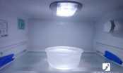 Đặt bát nước vào tủ lạnh mỗi ngày, 1 tháng sau bạn sẽ thấy điều kỳ diệu