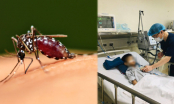 Bé 5t liệt tứ chi vì căn bệnh nguy hiểm ở não có thể lây qua vết muỗi đốt: Cha mẹ đừng chủ quan