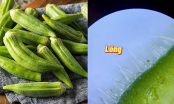 Kết quả kinh ngạc khi soi quả đậu bắp dưới kính hiển vi, 4 đối tượng không nên ăn kẻo gây hại