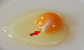 Đập trứng ra bát thấy có sợi màu trắng đục dính vào lòng đỏ trứng, nên ăn tiếp hay bỏ đi?