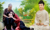 Phật dạy: 4 điều tối kị nàng dâu cần biết khi sống chung với bố mẹ chồng