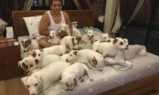 Người đàn ông sống đời độc thân cùng 20 chú chó sau đổ vỡ hôn nhân