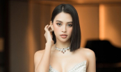 Đại diện BTC Hoa hậu Việt Nam tiết lộ đã đặt gạch Tiểu Vy cho cuộc thi Hoa hậu ngay từ đầu
