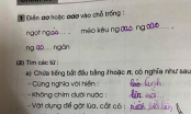 Cô giáo ra đề tìm các từ bắt đầu chữ L, nhìn bài làm của học sinh chỉ muốn độn thổ