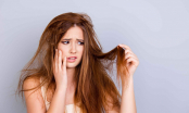 Chuyên gia gợi ý cách chăm sóc tóc để tránh tình trạng khô xơ, chẻ ngọn