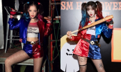 Những màn cosplay Harley Quinn đỉnh cao nhất: Chi Pu gợi cảm vẫn thua dàn mỹ nhân Hàn