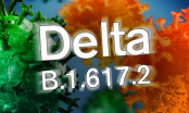 WHO công bố dữ liệu đáng lo ngại về biến thể Delta, nói ‘đại dịch đang đi sai hướng’