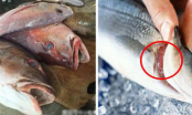 Đây là 3 loại cá bẩn nhất chợ, bị liệt vào danh sách đen, mua về chỉ rước bệnh cho cả nhà