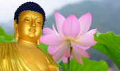 Phật dạy: Những khai thị về nhân quả báo ứng giúp bạn hết khổ mỗi ngày