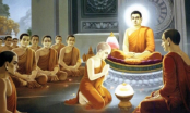 Lời Phật dạy về có nhân ắt có quả, nắm lấy để sống một đời an yên