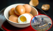 Gia đình 4 người ngộ độc nặng sau bữa tối với trứng gà: Cảnh báo 6 sai lầm nên tránh khi ăn trứng