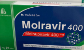 Những ai tuyệt đối không được dùng Monulpiravir - thuốc được coi là 'chìa khoá' chữa Covid-19?