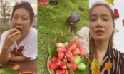 Nhã Phương và Trường Giang livestream khoe vườn trái cây xum xuê trong biệt thự 'siêu khủng'