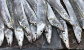 Đi chợ thấy 8 loại cá này nên mua ngay, đảm bảo cá tự nhiên, thơm ngon, bổ dưỡng
