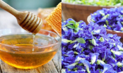 Mật ong kết hợp với loại hoa này giúp tiêu mỡ, giảm cân, tăng sinh collagen: Chị em dùng đều da đẹp, dáng thon