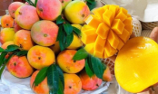 8 loại rau quả không chua nhưng giàu vitamin C hơn cả cam chanh: Tốt cho da và xương khớp, nên ăn hàng ngày