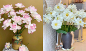 5 loại hoa nghe tên đã thấy nhiều phúc lộc, đặt trong phong khách hút tiền tài cực đỉnh