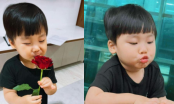 Con trai Hoà Minzy còn nhỏ đã biết tặng hoa cho mẹ trước ngày sinh nhật, nhìn biểu cảm cưng xỉu