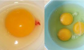 Trứng đập ra có vệt đỏ như máu, nên ăn hay bỏ đi? Nhiều người thắc mắc nhưng giờ mới biết câu trả lời