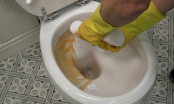 Bồn cầu đóng cặn bẩn, vàng ố cỡ nào cứ dùng 4 thứ này vệ sinh là sạch bong như mới