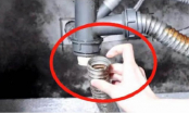 Đường ống nước tắc cứng đừng vội gọi thợ: Làm cách này giải quyết được ngay, không tốn tiền