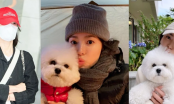 Hai kiểu mũ được Song Hye Kyo cực kỳ yêu thích, diện đi muôn nơi