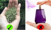 5 loại lá càng dùng cơ thể càng thơm ngát: Chị em không cần dùng nước hoa vẫn khử mùi hiệu quả