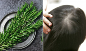 6 loại rau củ là 'cứu tinh' cho mái tóc rụng nhiều, thưa thớt: Biết dùng là tóc dày lại ngay