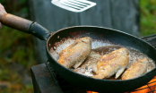 Rán cá đừng chỉ dùng dầu ăn: Thêm 1 thìa này vào chảo, cá vàng giòn, không lo bắn dầu