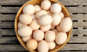 Cách bảo quản trứng không cần tủ lạnh để cả nửa năm vẫn tươi ngon, giữ nguyên dinh dưỡng cực đơn giản