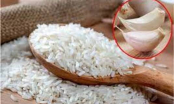 Vùi tép tỏi vào thùng gạo: Tác dụng cực hay, giải quyết vấn đề nhiều nhà gặp phải