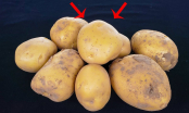 Đừng để khoai tây trong tủ lạnh: Làm theo cách này khoai để lâu vẫn tươi ngon, không mọc mầm