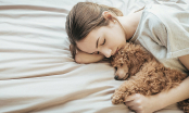 Ngủ với thú cưng: 5 lời khuyên hữu ích của chuyên gia khi ngủ cùng thú cưng