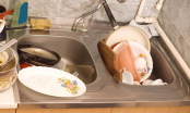 4 vật dụng trong nhà bếp là ổ chứa vi khuẩn: Chuyên gia cảnh báo cần thay thế thường xuyên