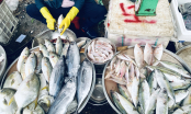 Đi chợ thấy 7 loại cá này nên mua ngay: Người bán cá nói đây là cá tự nhiên, ngọt thịt lại bổ dưỡng