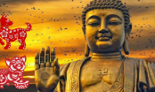 4 con giáp hưởng ân điển nhà Phật, 5 năm tới thay đổi số phận, mang vàng mang bạc về nhà