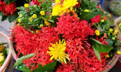 Đừng cúng hoa cúc, hoa ly mãi: Dâng 6 loại hoa này phúc lộc tràn trề, mùng 1 thắp hương cả tháng may mắn