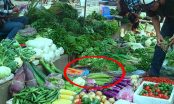 Đi chợ thấy 5 loại rau này nhớ mua ngay, vừa ngon lại bổ dưỡng, không lo phun thuốc