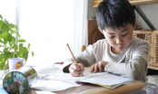 4 điều giúp cha mẹ rèn luyện thói quen tập trung học tập tốt ở trẻ
