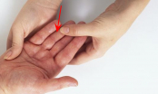Ngón tay đeo nhẫn có 1 trong 4 dấu hiệu này, dù là nam hay nữ đều hưởng số mệnh phú quý, viên mãn