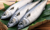 Người bán cá 20 năm tiết lộ: Đi chợ thấy 5 loại cá này mua ngay, cá tự nhiên sạch 100% không hóa chất