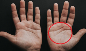 Lòng bàn tay có 4 dấu hiệu này dù nam hay nữ đều có lộc, tiền tiêu cả đời không hết