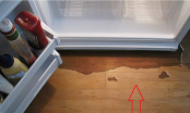Tủ lạnh bị chảy nước: Đừng vội gọi thợ làm ngay cách này giúp tủ hoạt động tốt, chẳng tốn tiền oan
