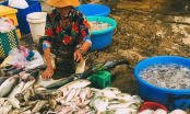 Đi chợ thấy 5 loại cá này nên mua ngay: Đảm bảo cá tự nhiên, thịt ngon lại nhiều dinh dưỡng