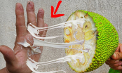 Ngại dùng tay bóc mít: 4 cách sau khiến nhựa mít không còn dính, rửa nhẹ là sạch tinh