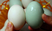 Mưa trứng vịt nên chọn quả vỏ trắng hay vỏ xanh: Hai loại có sự khác biệt lớn, chọn đúng ăn mới ngon
