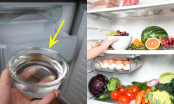 Đặt bát nước qua đêm trong tủ lạnh: Mẹo nhỏ mang đến lợi ích bất ngờ, nhà nào cũng cần